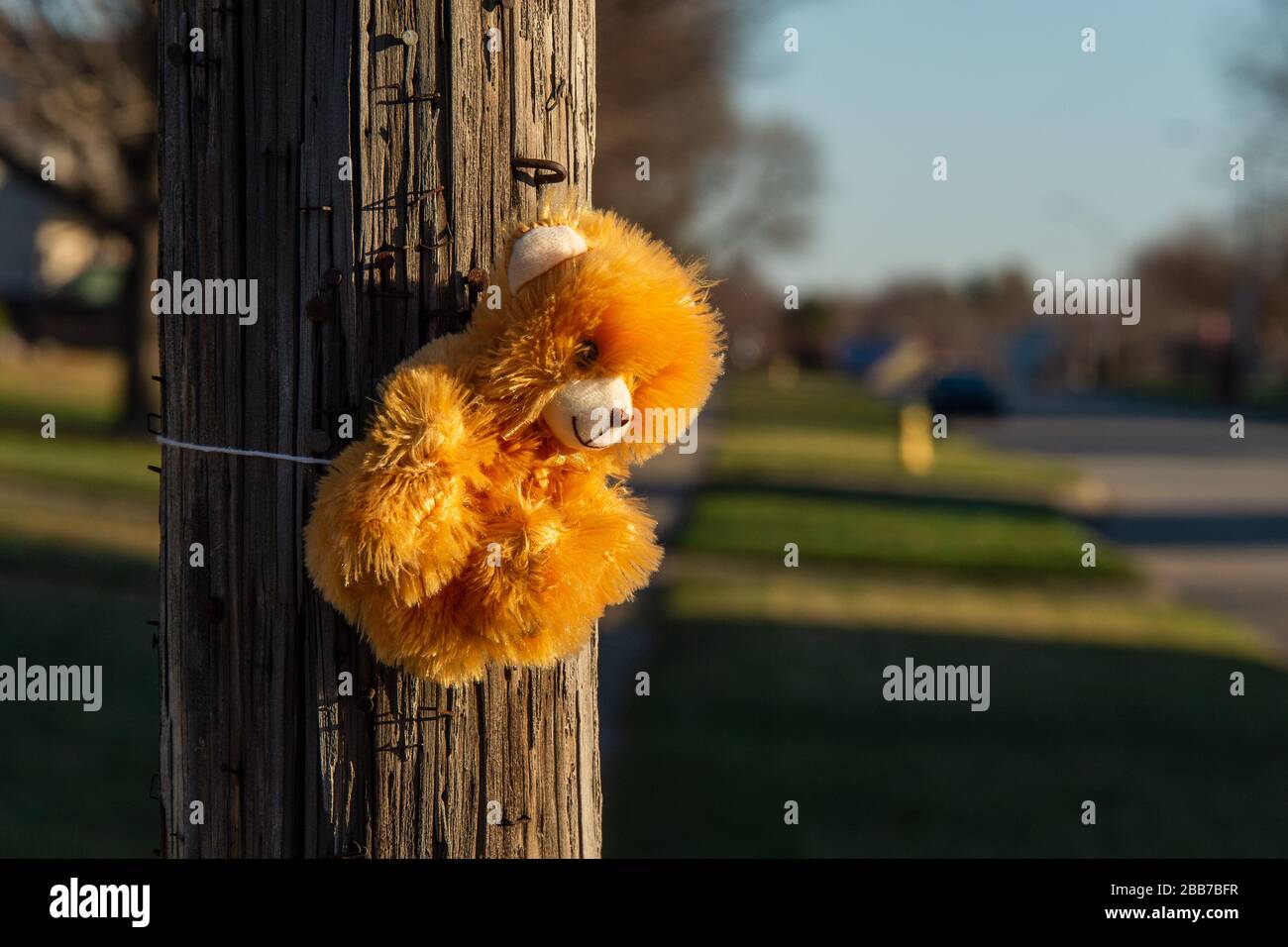 The morning sun highlights a child's teddy bear toy tied to a telephone