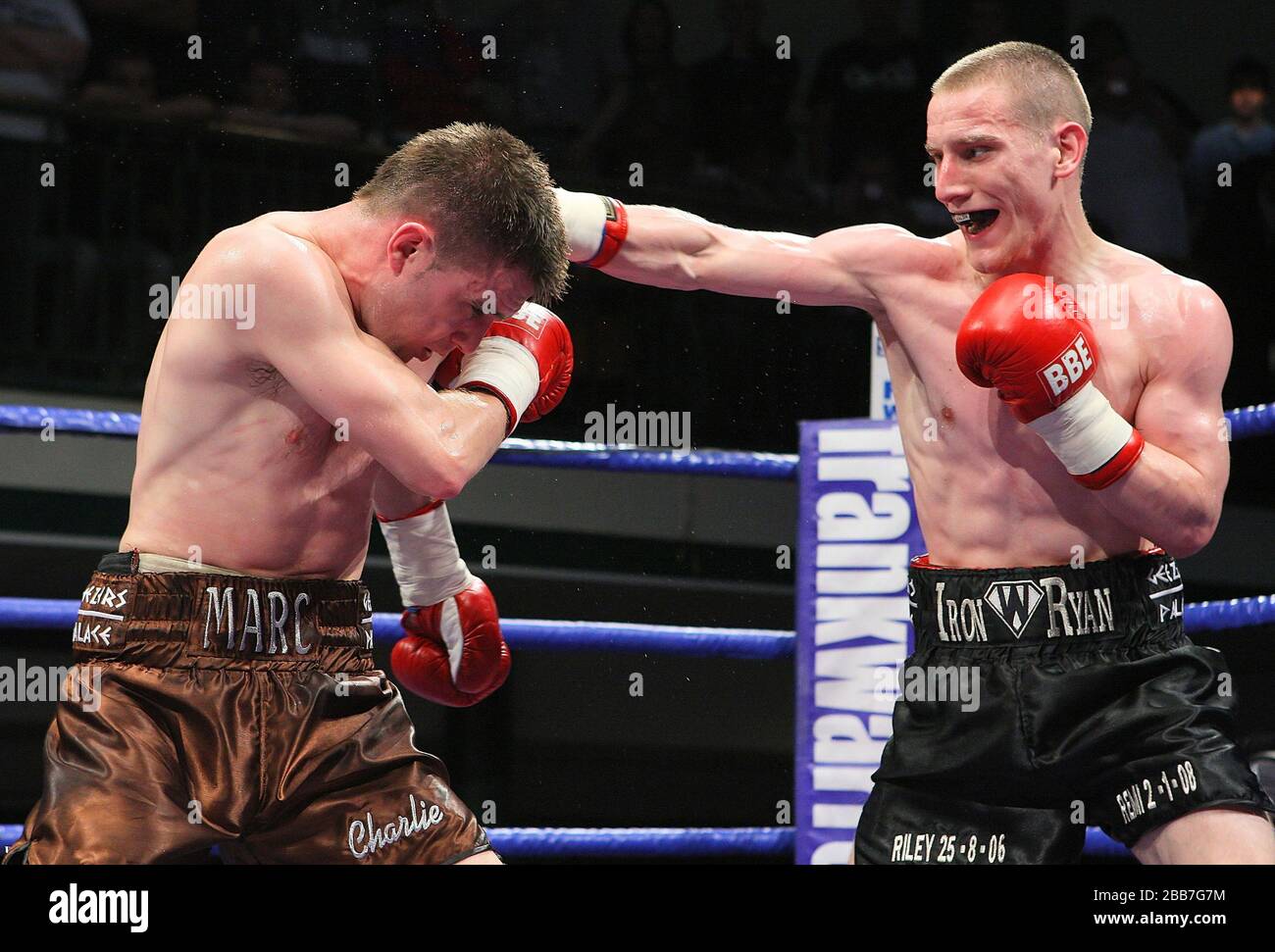 Marc Callaghan Walsh marc hi-res stock photography and images - Alamy