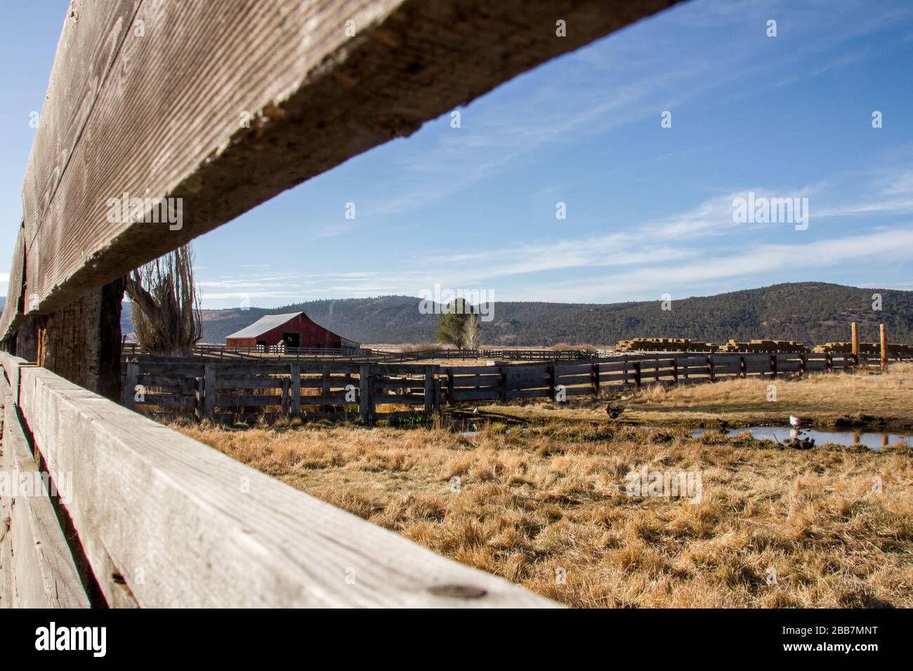 Ranch barn and corral. Stock Photo