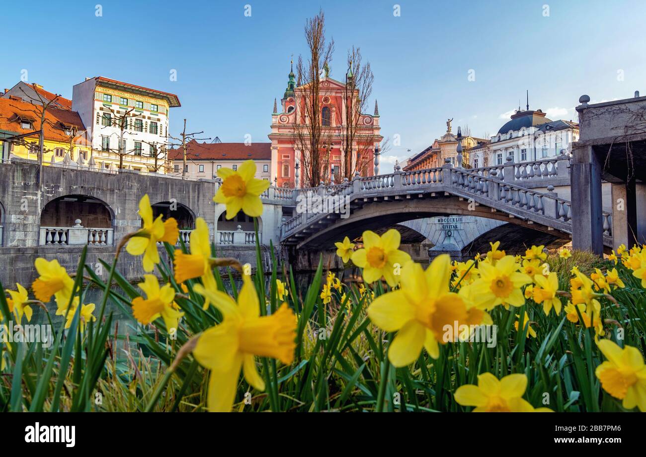 Symbol bridges hi-res stock photography and images - Alamy
