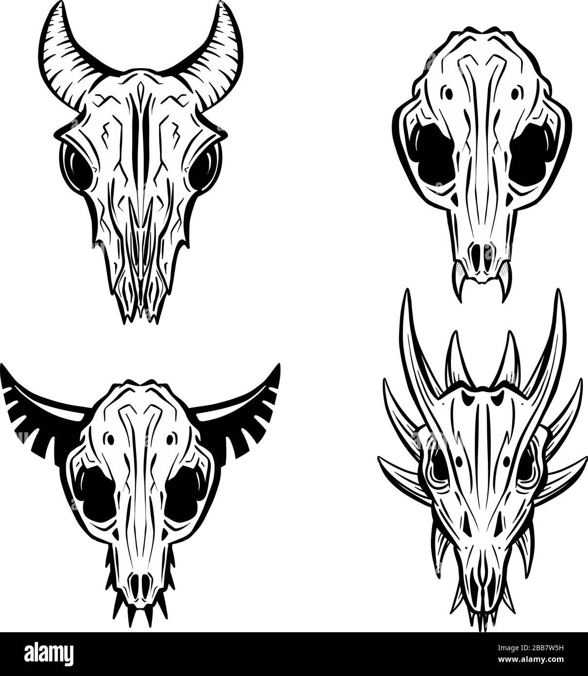 Milk teeth skull Stock Vector Images Alamy