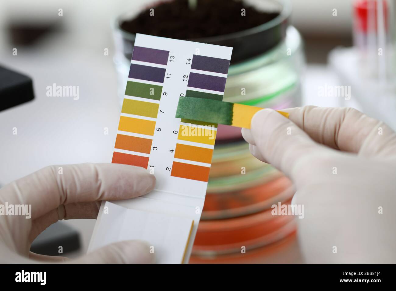 Close-up gloved hands holding litmus indicator Stock Photo