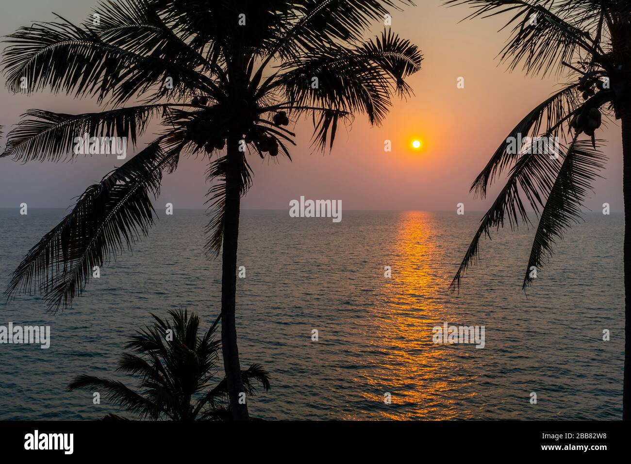 Sunset on dark waters with palm trees in foreground, with no people Kerala, India Stock Photo