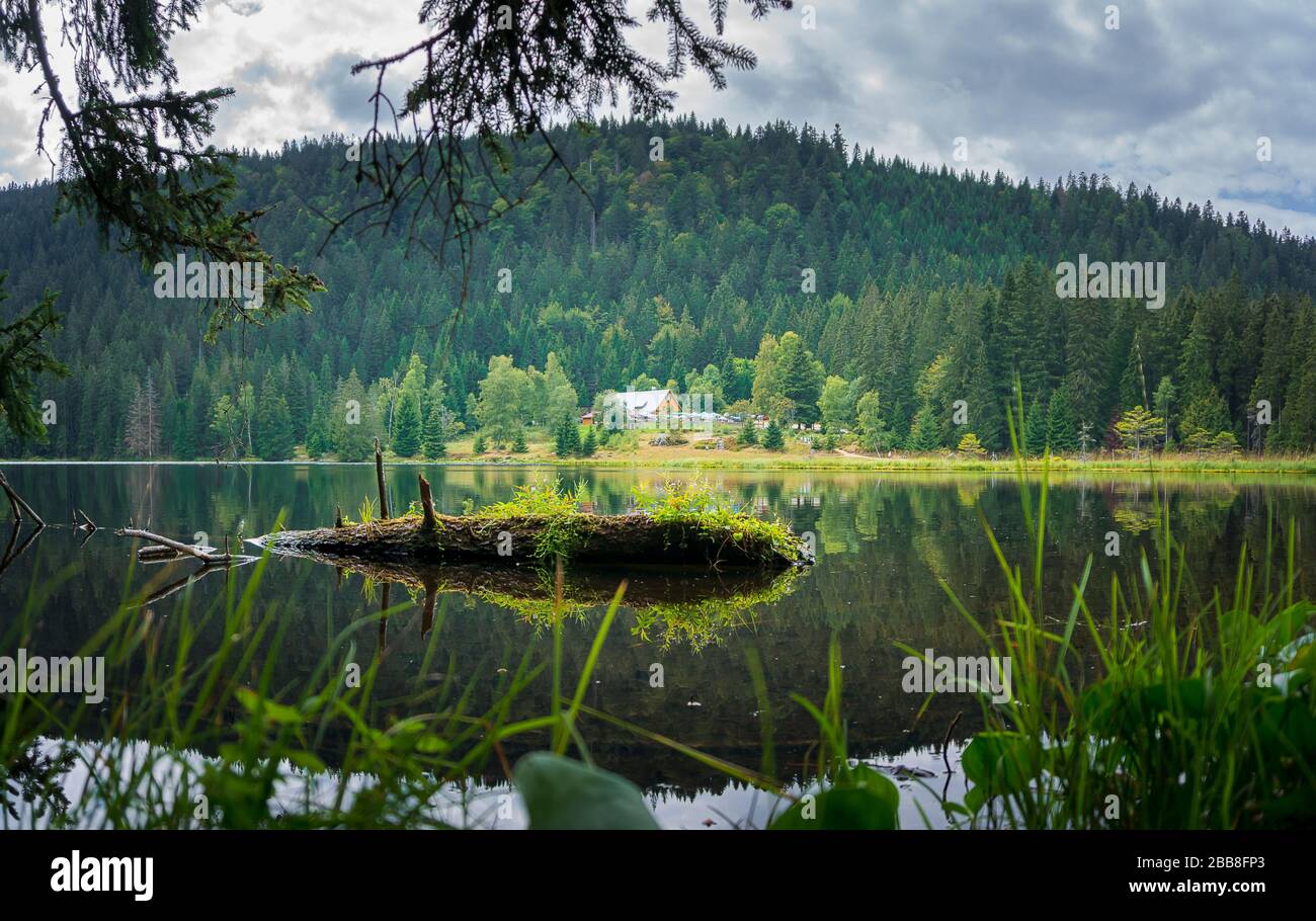 Little Lake Arber, Sollerbach and a  weir system in Bavarian Forest near Bodenmais Stock Photo