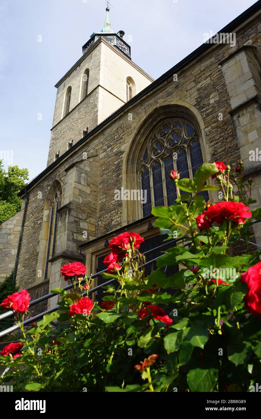 Sankt Martinus-Kirche Greven, Nordrhein-Westfalen, Deutschland Stock Photo