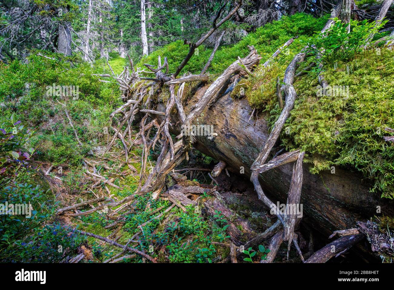 Kolm Saigurn in Rauris Valley Austria Stock Photo - Alamy