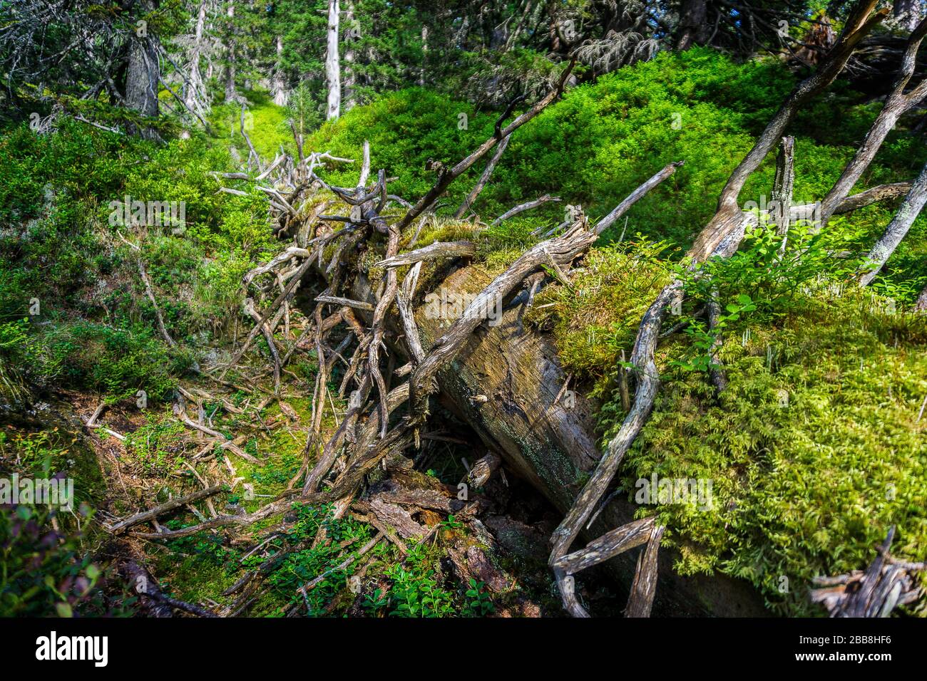 Kolm Saigurn in Rauris Valley Austria Stock Photo - Alamy