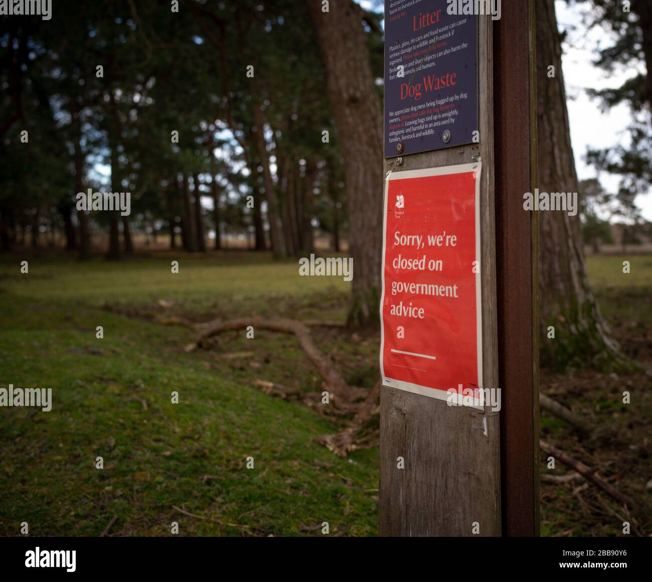 A sign on National trust land saying We are Closed on Government advice . The land is Half Moon Common on the edge of The New Forest Hampshire. Stock Photo