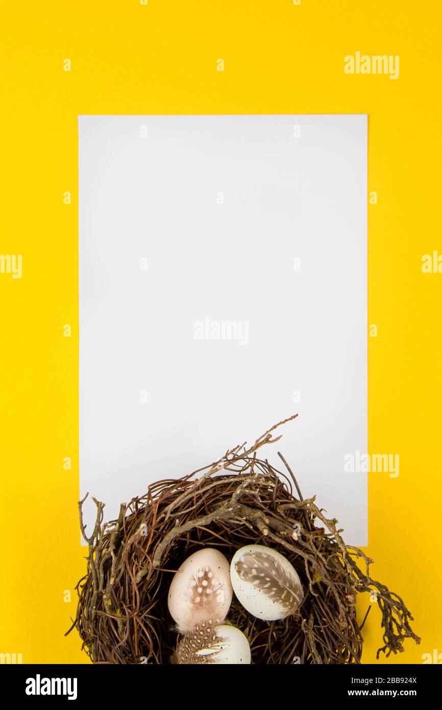 Decorted Easter eggs in a bird's nest on a yellow background Stock ...