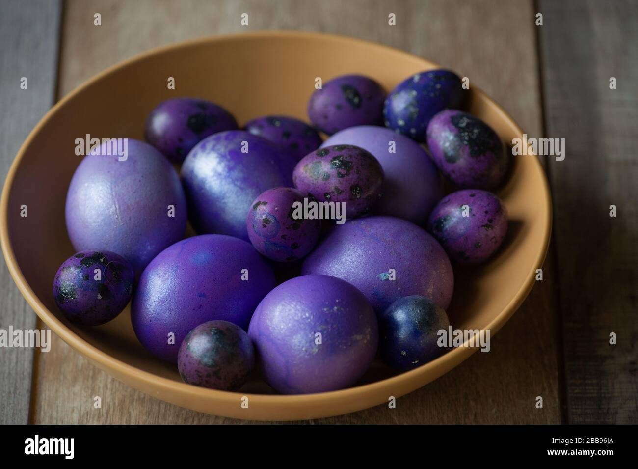Colourful easter eggs. Colored eggs purple. Purple eggs. Happy easter Stock Photo