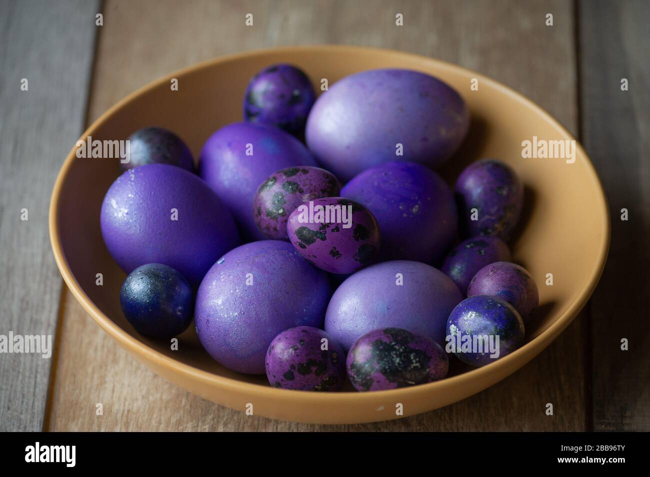Colourful easter eggs. Colored eggs purple. Purple eggs. Happy easter Stock Photo