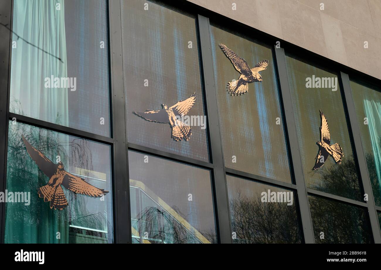 Images of predator birds on window to deter birds flying into glass