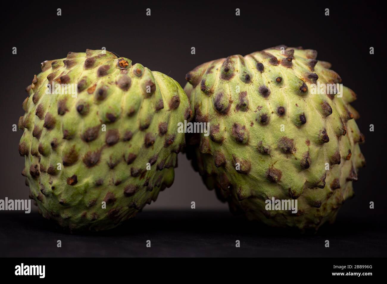Close up of two Soursop or Graviola fruit related to the Sugar Apple