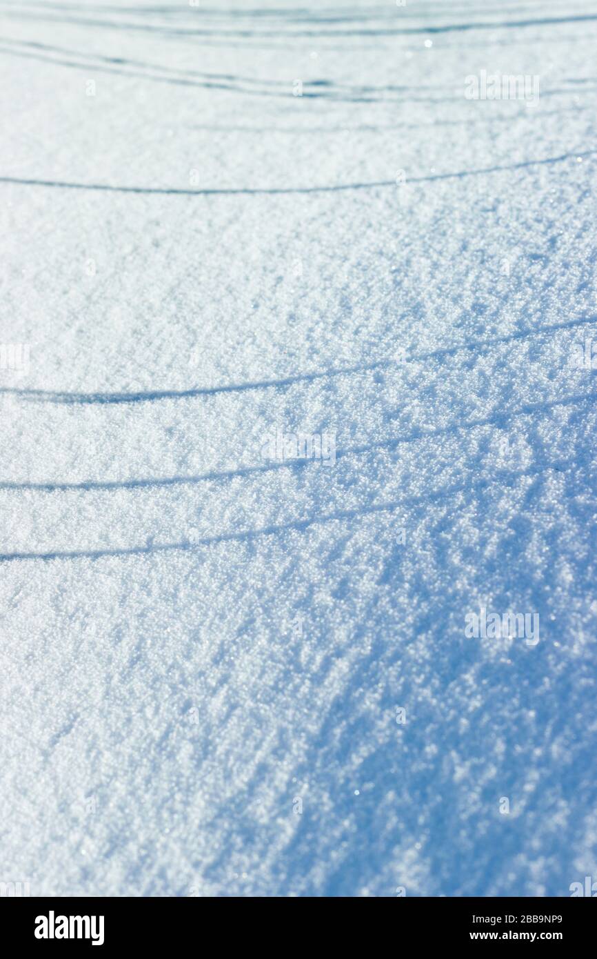 Parallel shadows on the fresh snow background Stock Photo