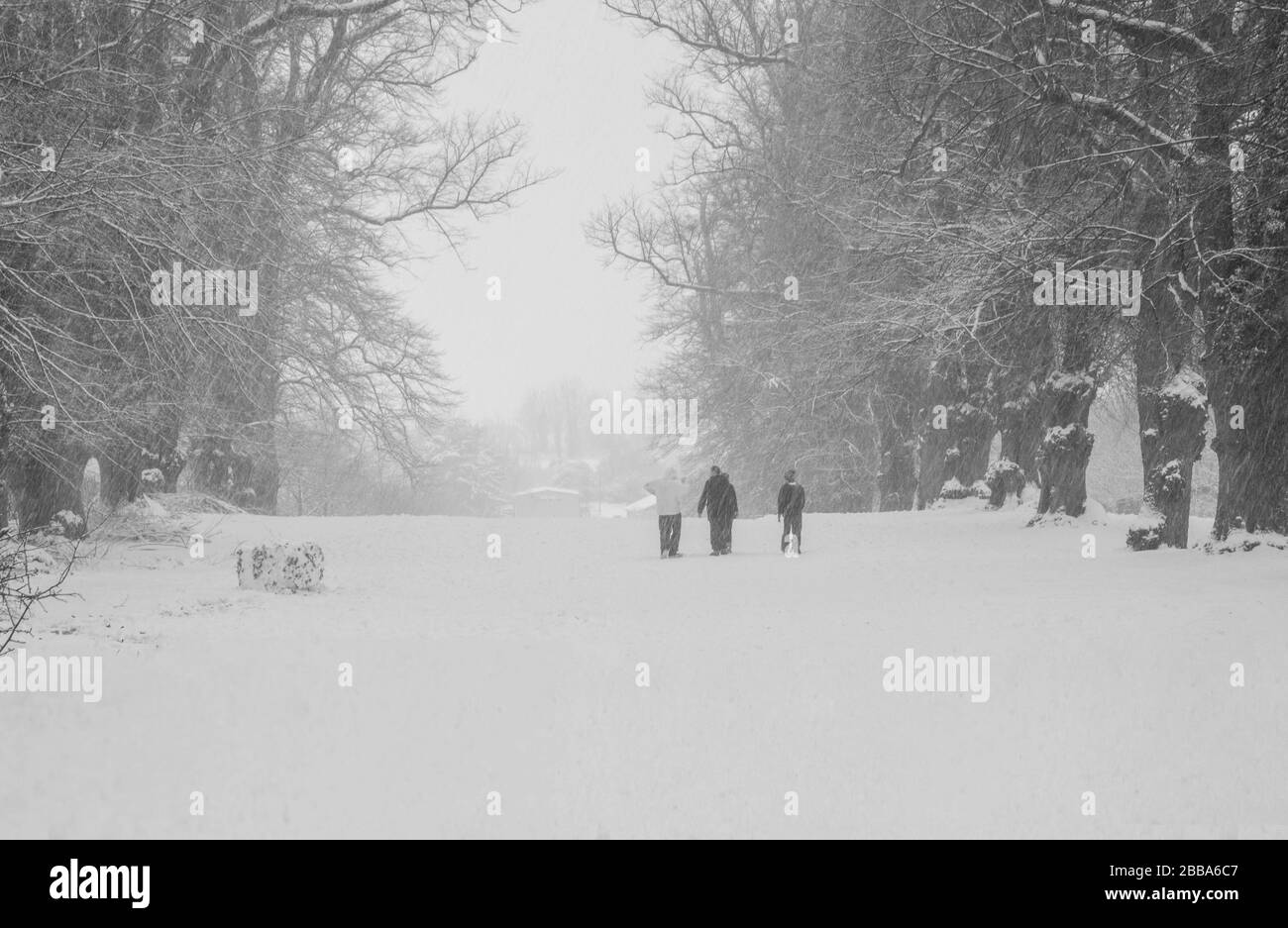Winter scene with three young people walking in the snow heading home Stock Photo