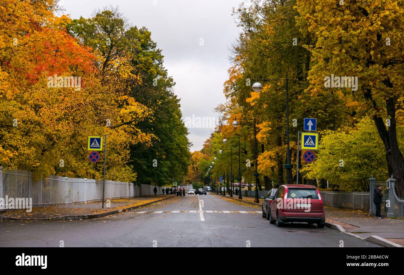 Street with Autumn trees, Tsars Village, Tsarskoe Selo, Pushkin, Russian Federation Stock Photo