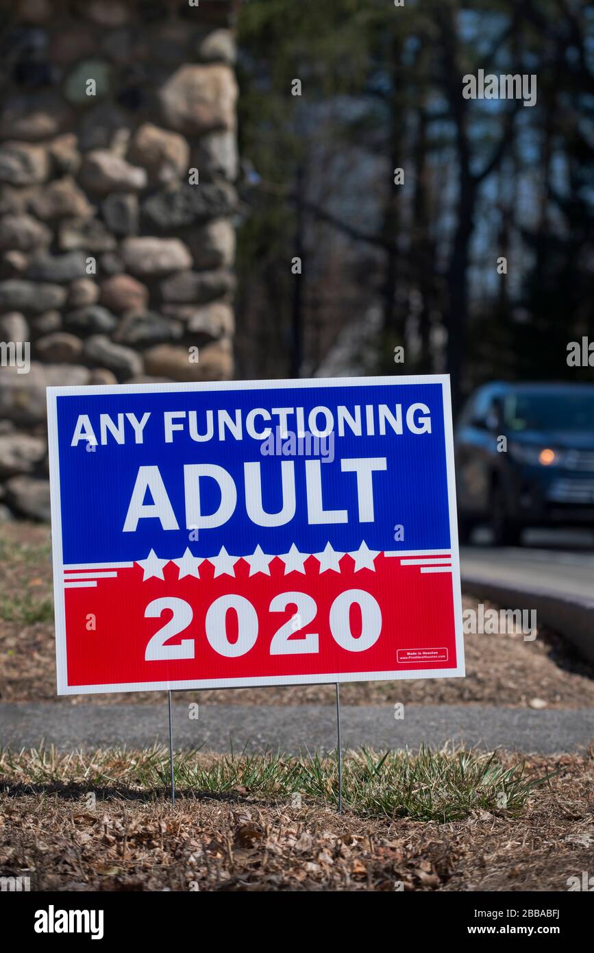 Yard sign, U.S. Presidential Election 2020, Lexington, MA, USA.  26 Mar. 2020.  Yard sign on Massachusetts Avenue in Politically Liberal Lexington, population 30,000 plus, 12.5 miles (20.6km)  northwest of Boston, Massachusetts.  Registered Democrats outnumber Republicans 5 to 1 and the town has not voted Republican since the Reagan election in 1980. Stock Photo
