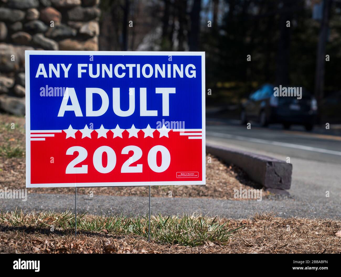 Yard sign, U.S. Presidential Election 2020, Lexington, MA, USA.  26 Mar. 2020.  Yard sign on Massachusetts Avenue in Politically Liberal Lexington, population 30,000 plus, 12.5 miles (20.6km)  northwest of Boston, Massachusetts.  Registered Democrats outnumber Republicans 5 to 1 and the town has not voted Republican since the Reagan election in 1980. Stock Photo