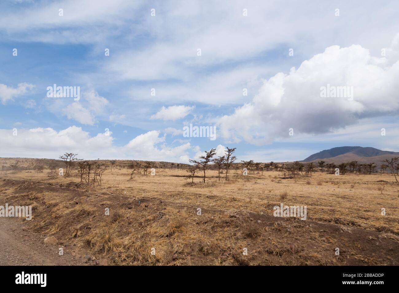 Road to Serengeti national park, Tanzania landscape. African panorama ...