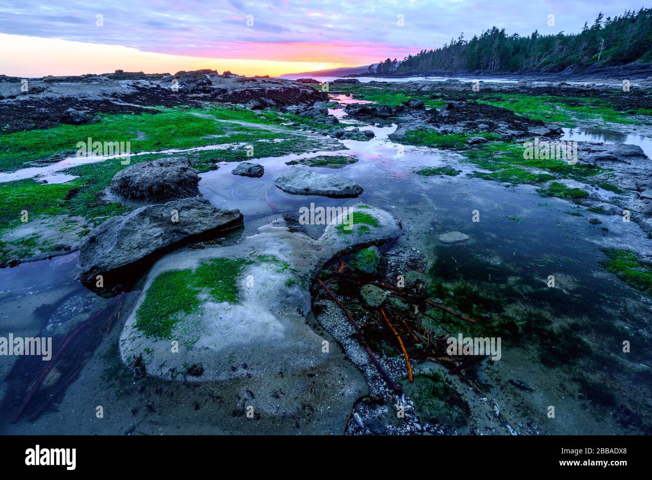 Botanical Beach, Port Renfrew, Vancouver Island, BC, Canada Stock Photo