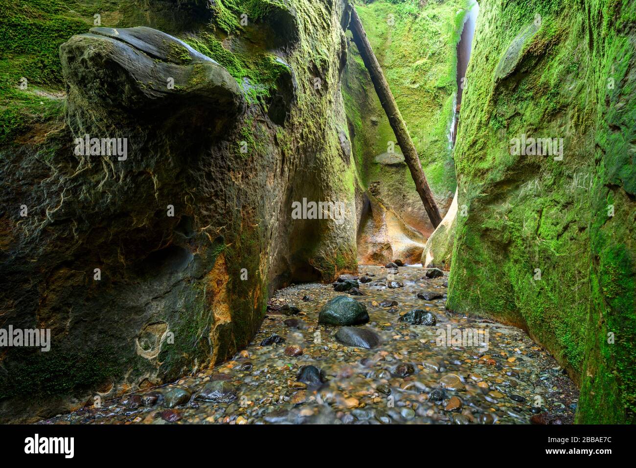 Sombrio Beach Canyon, Juan de Fuca Trail, near Port Renfrew, Vancouver Island, BC Canada Stock Photo