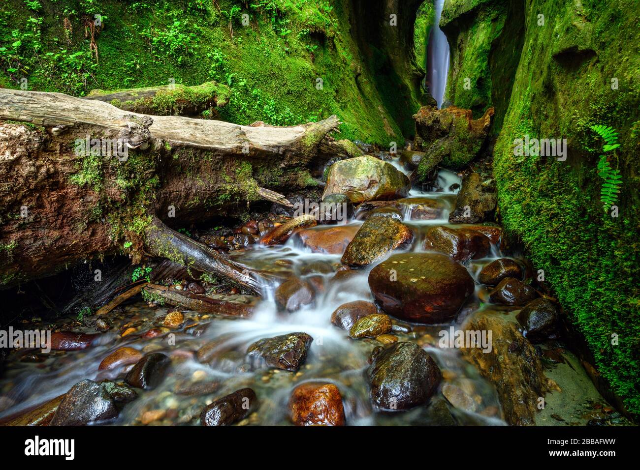 Sombrio Beach Canyon, Juan de Fuca Trail, near Port Renfrew, Vancouver Island, BC Canada Stock Photo