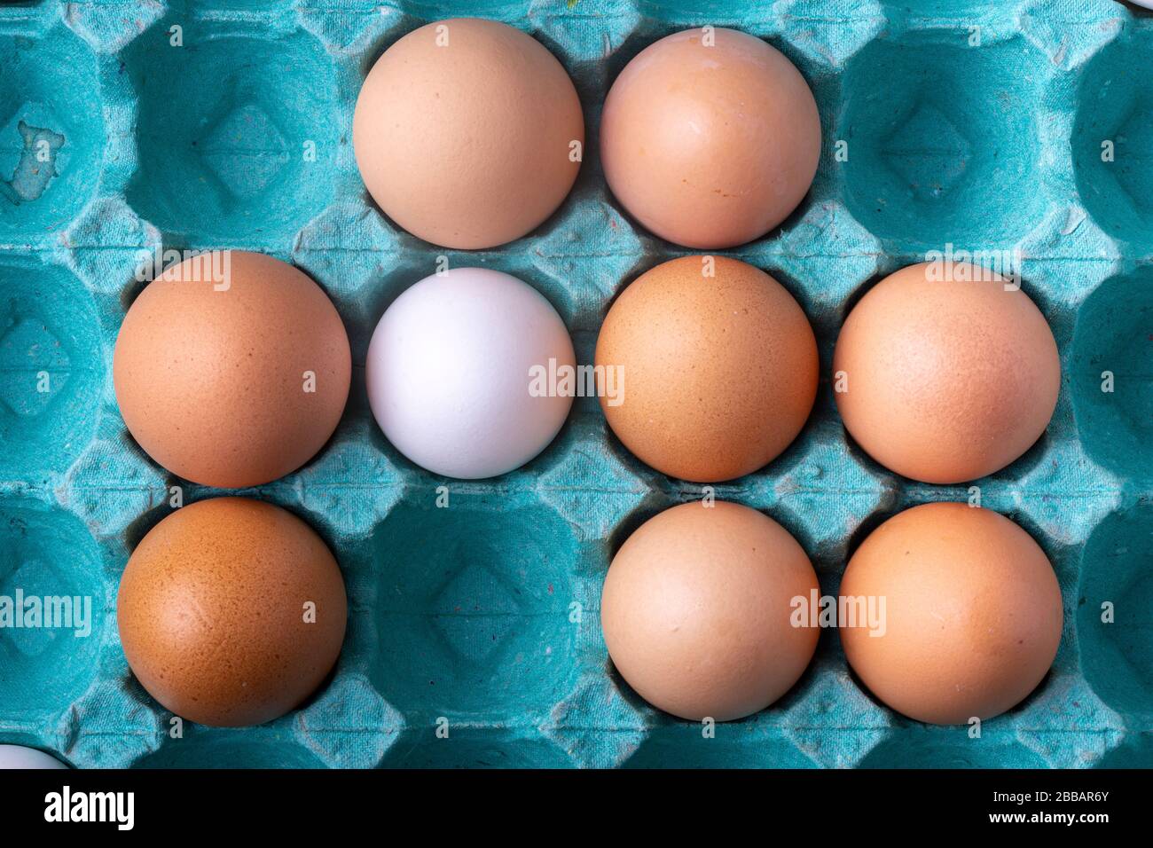 One white chicken egg among other brown shaded eggs and empty spaces in