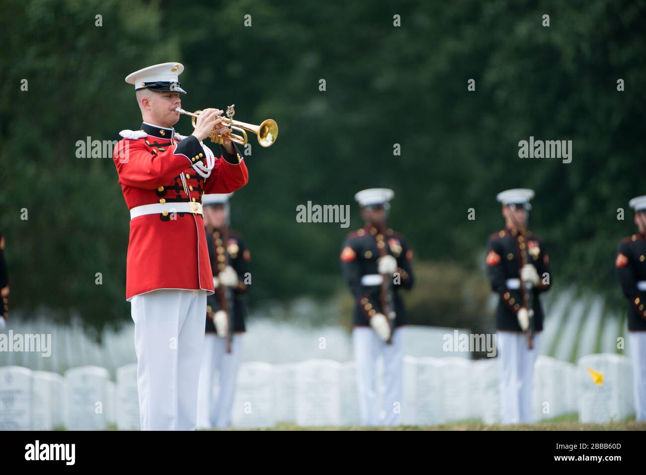 'Members of the U.S. Marine Corps participate in the graveside service for U.S. Marine Corps Pfc. Anthony Brozyna in Section 60 of Arlington National Cemetery, Aug. 31, 2016, in Arlington, Va. Brozyna, of Hartford, Connecticut, died Nov. 20, 1943 during the battle of Tarawa. His remains were recently recovered and identified. (U.S. Army photo by Rachel Larue/Arlington National Cemetery/released); 31 August 2016, 13:06; Graveside service for U.S. Marine Corps Pfc. Anthony Brozyna in Section 60 of Arlington National Cemetery; Arlington National Cemetery; ' Stock Photo