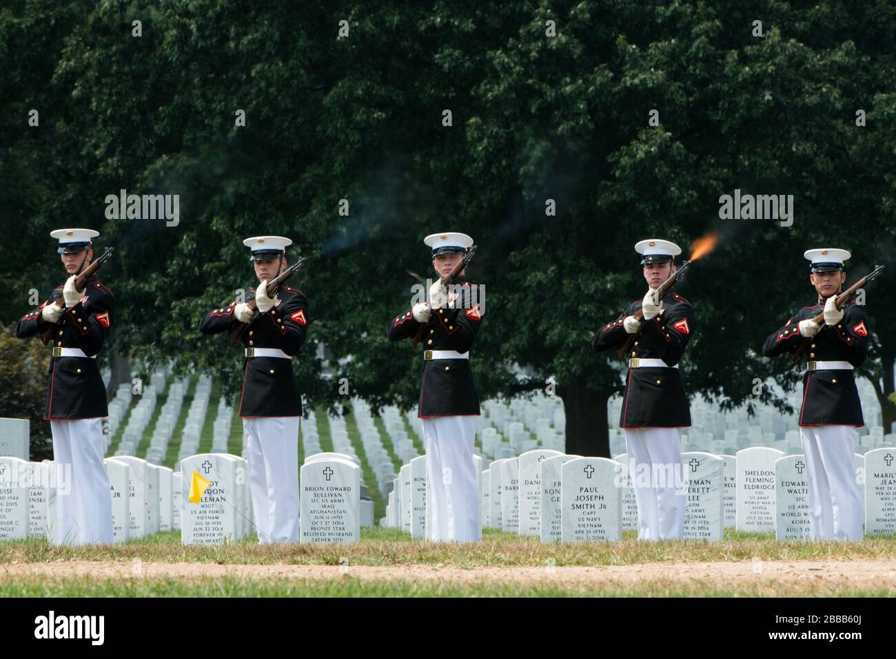 'Members of the U.S. Marine Corps participate in the graveside service for U.S. Marine Corps Pfc. Anthony Brozyna in Section 60 of Arlington National Cemetery, Aug. 31, 2016, in Arlington, Va. Brozyna, of Hartford, Connecticut, died Nov. 20, 1943 during the battle of Tarawa. His remains were recently recovered and identified. (U.S. Army photo by Rachel Larue/Arlington National Cemetery/released); 31 August 2016, 13:05; Graveside service for U.S. Marine Corps Pfc. Anthony Brozyna in Section 60 of Arlington National Cemetery; Arlington National Cemetery; ' Stock Photo
