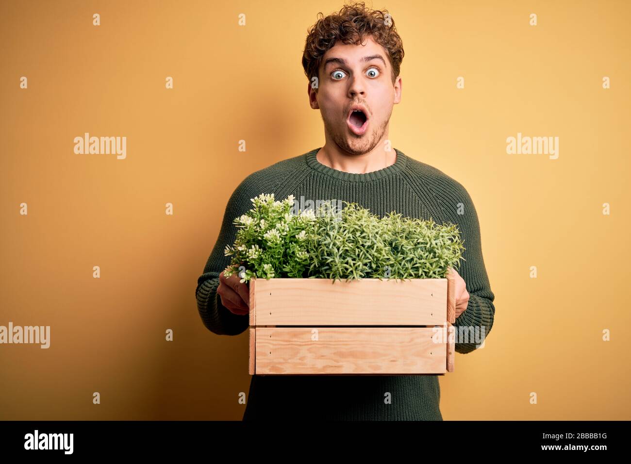 Young blond handsome man with curly hair holding wooden box with plants