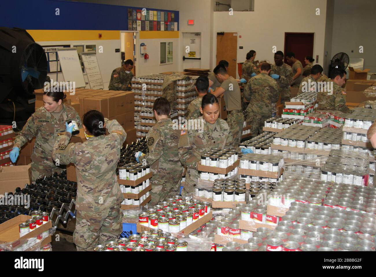 Soldiers of the California Army National Guard’s 115th Regional Support Group form an assembly line and diligently pack food March 21 at the Sacramento Food Bank & Family Service in Sacramento, California. California Guardsmen were activated to assist the state during the recent COVID-19 outbreak. (Army National Guard photo by Staff Sgt. Eddie Siguenza) Stock Photo