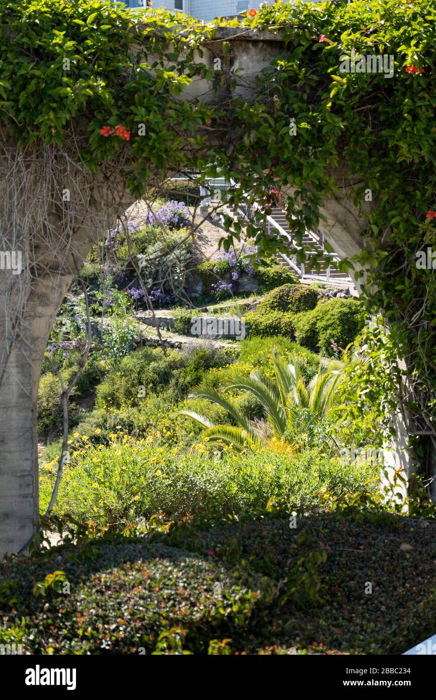 Beautiful ivy covered arches at Dana Point California, a popular