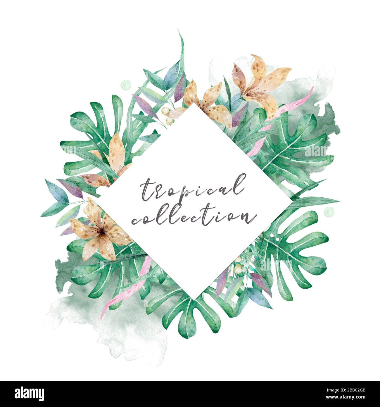 Hand drawn watercolor tropical set. Exotic leaves illustrations, jungle ...