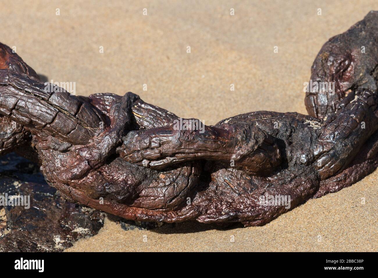 Old rusty chain in sand on beach Stock Photo