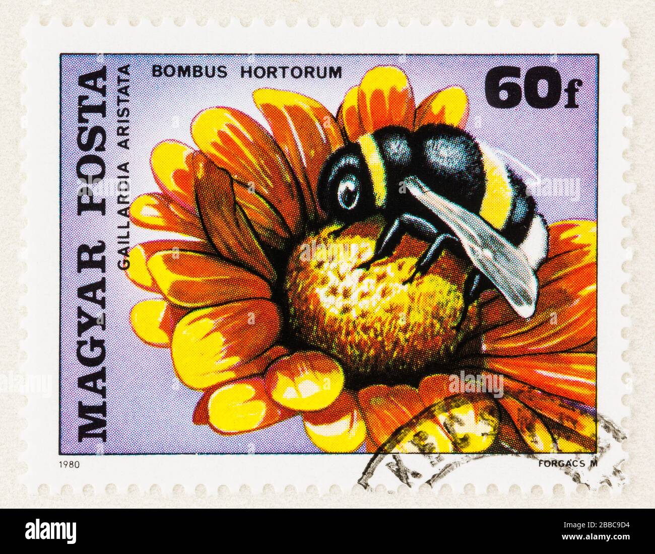 SEATTLE WASHINGTON - March 29, 2020: Close up of postage stamp from Hungary of Bumble bee on Gaillardia flower. Scott # 2626 Stock Photo