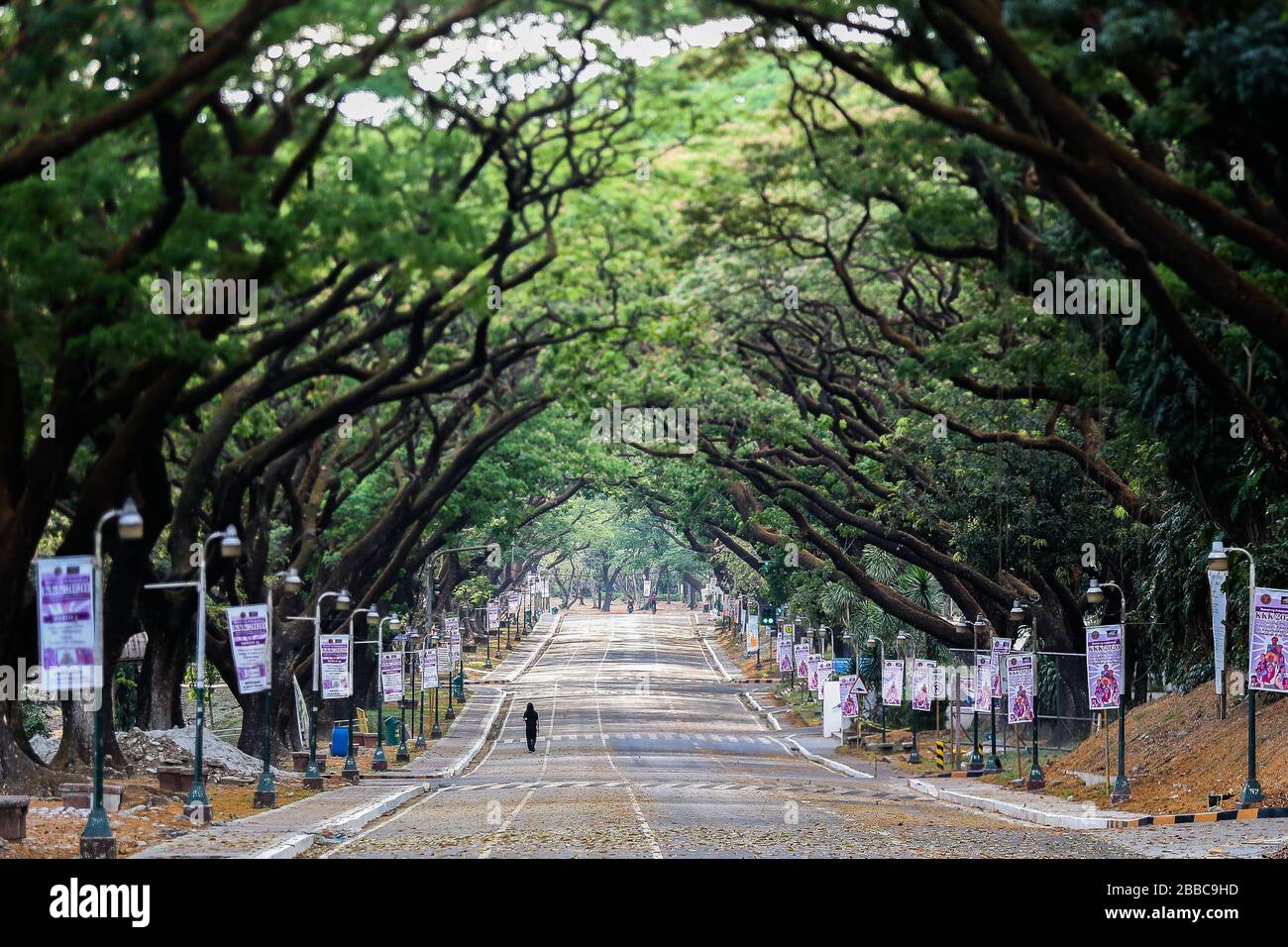 Beijing, China. 30th Mar, 2020. A woman walks along an empty street inside the University of the Philippines in Quezon City, the Philippines on March 30, 2020. Credit: Rouelle Umali/Xinhua/Alamy Live News Stock Photo