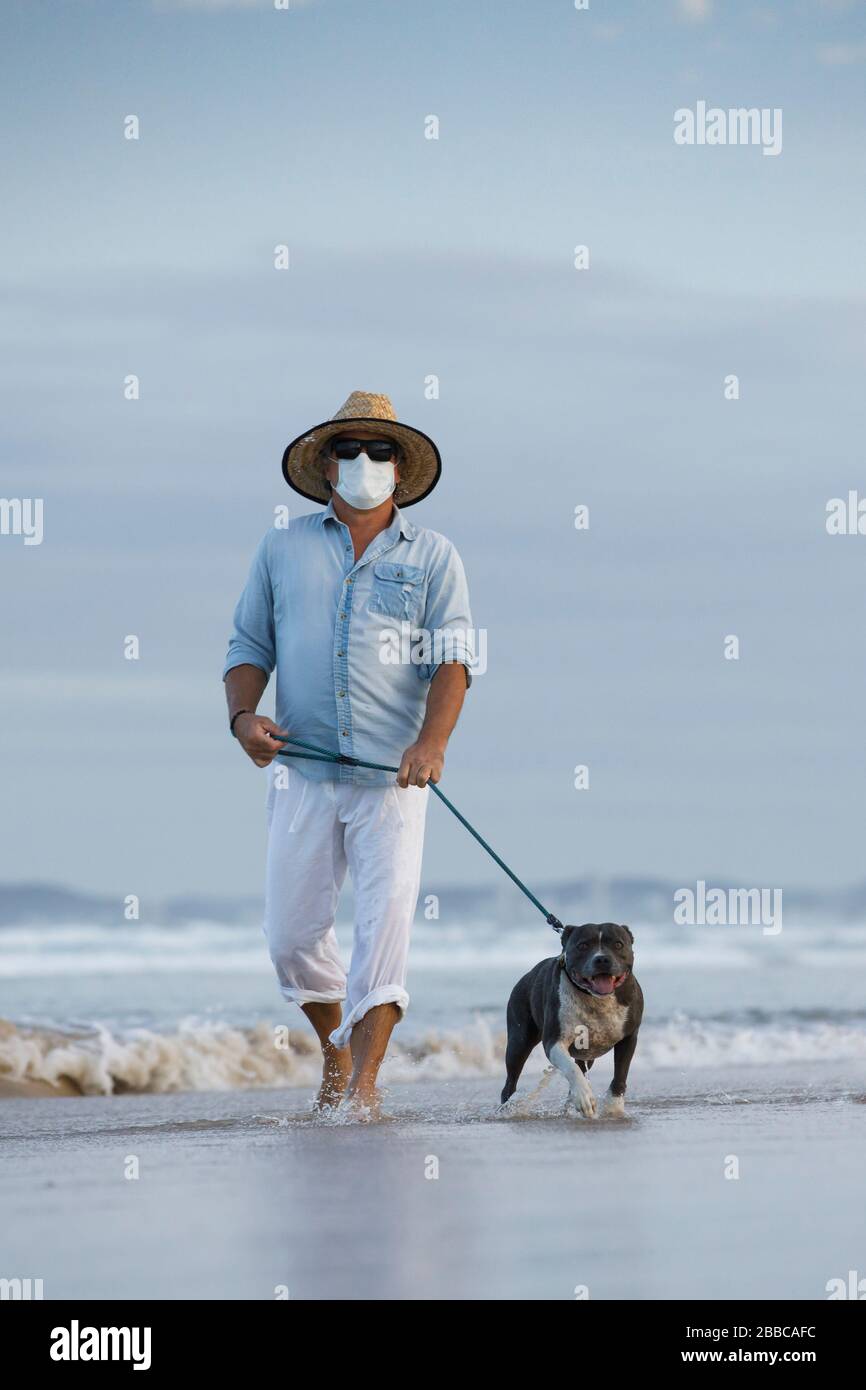 man with medical face mask walking a blue stafford dog seaside, mans best friend, walking dog concept or staying active amid coronavirus pandemic Stock Photo