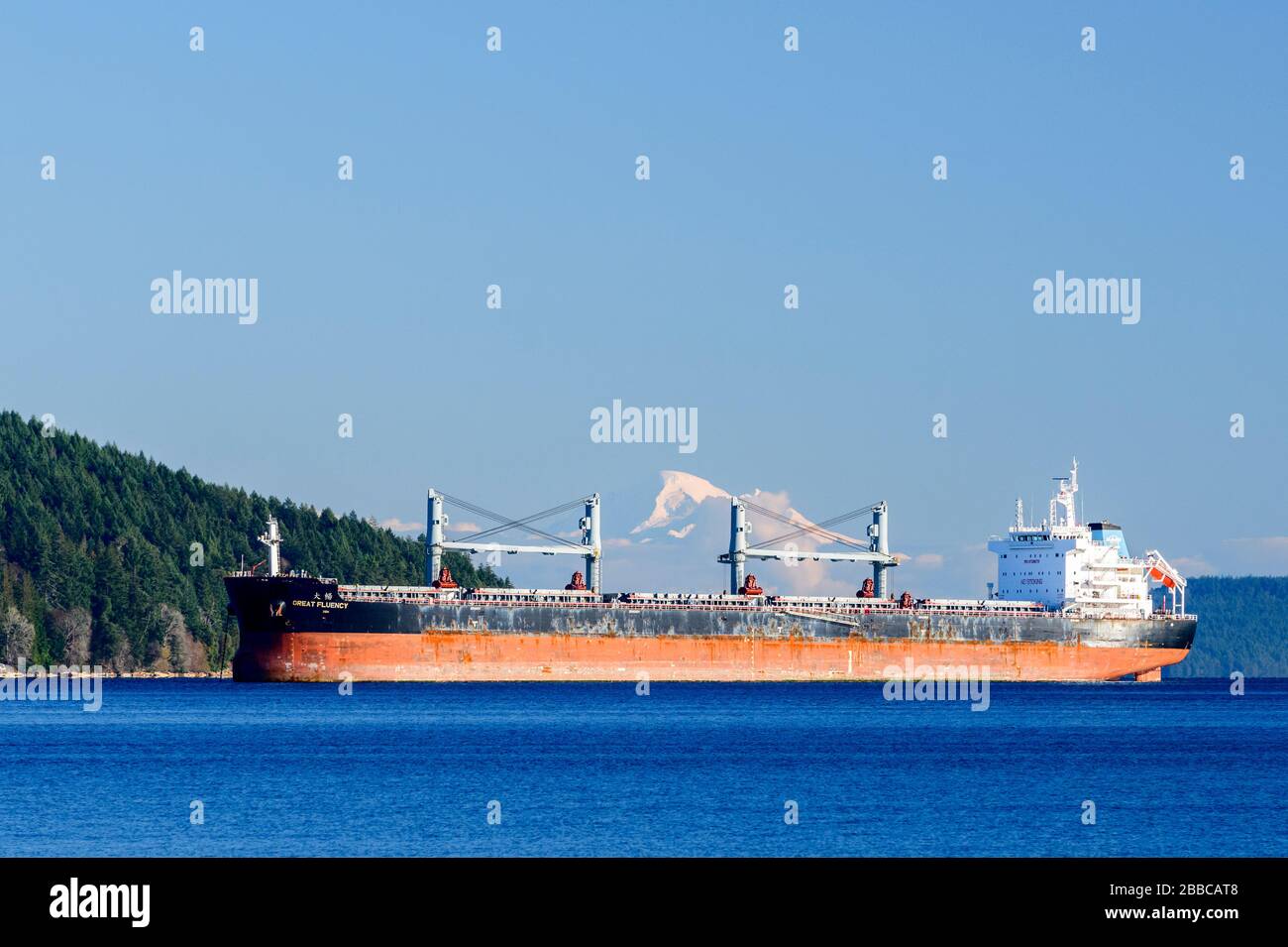 The freighter, Great Fluency, at anchor in Satellite Channel near Cowichan Bay, British Columbia.  Mt. Baker in Washington State is in the background. Stock Photo