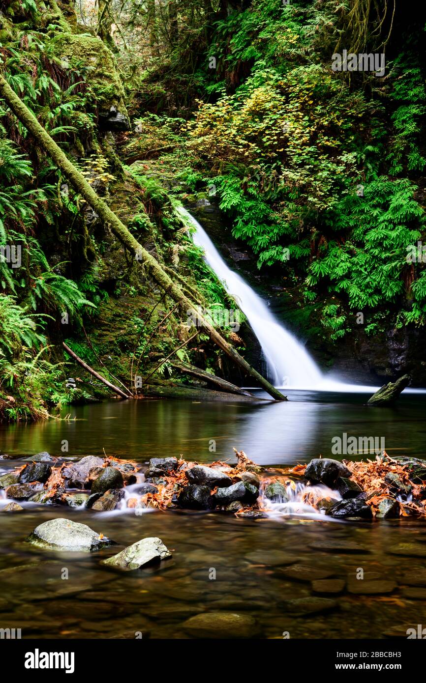 Goldstream Falls in Goldstream Provincial Park in Victoria, British Columbia. Stock Photo