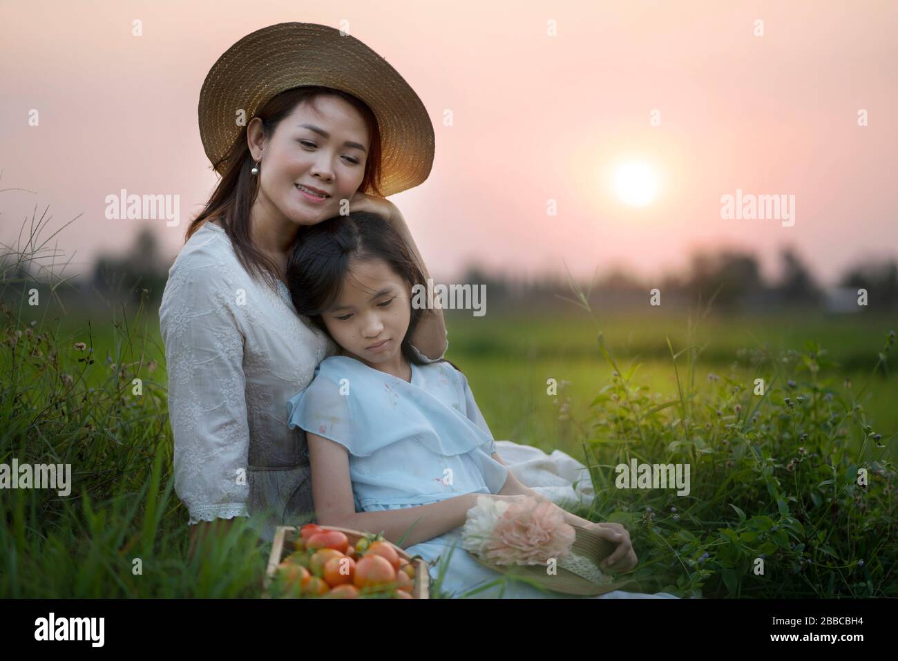 farmer girl harvesting red tomato in organic farm farmer girl ...