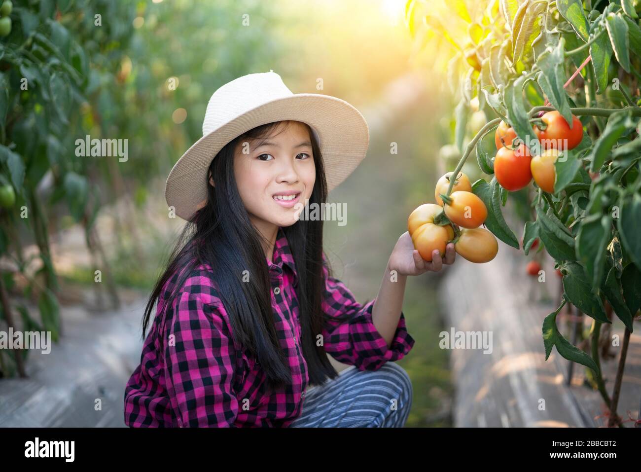Farmer girl harvesting red hi-res stock photography and images - Alamy