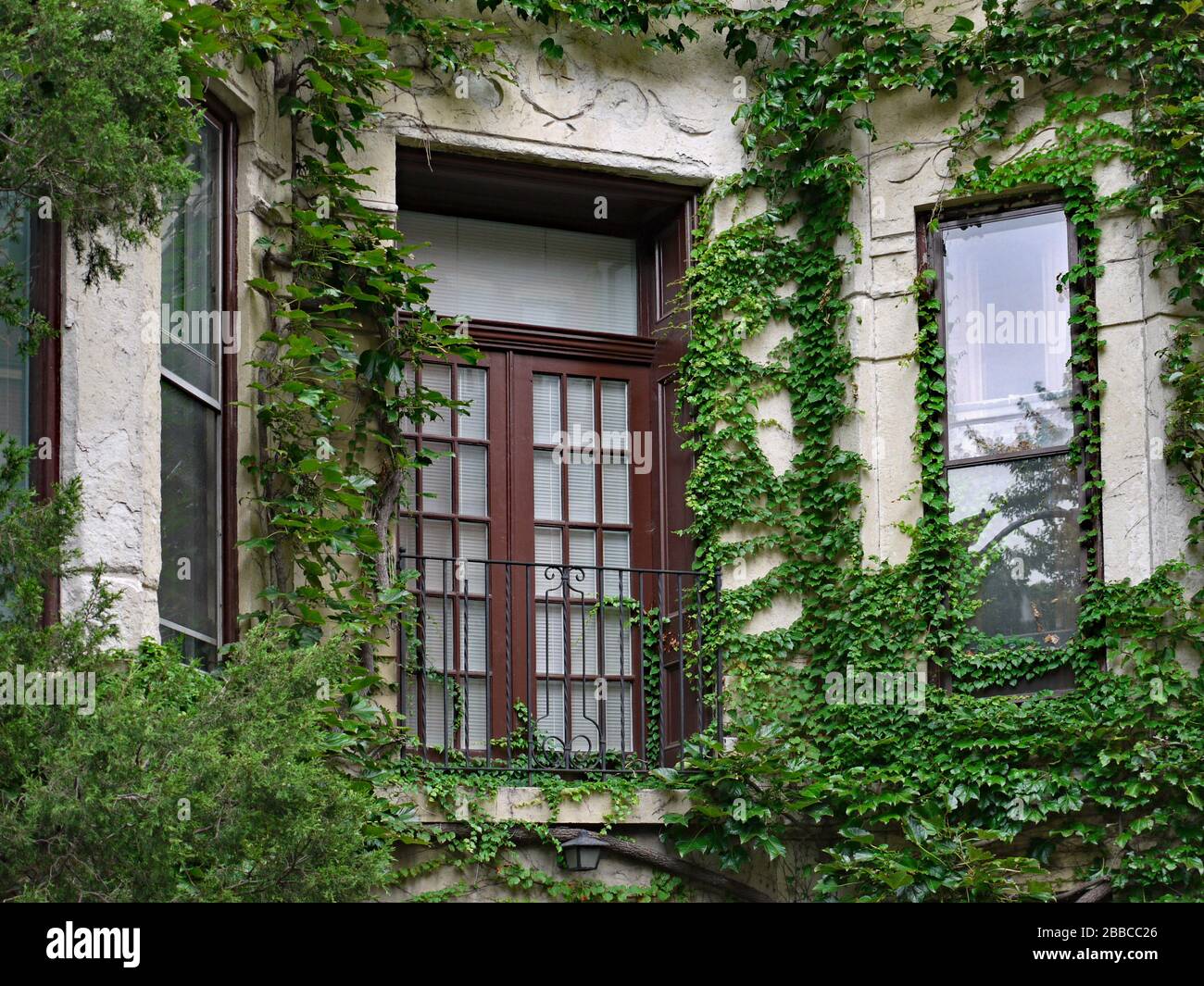 French door type window opening to balcony in old apartment building surrounded by ivy Stock Photo
