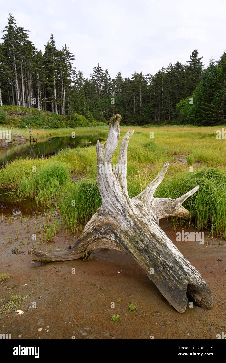 White Creek, North Beach, Graham Island, Haida Gwaii, Formerly known as