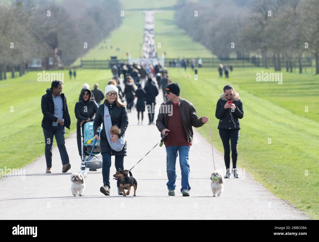 People walking on the Long Walk in Windsor Great Park, UK. The covid19 outbreak and social distancing measures were recently announced 21.03.2020 Stock Photo