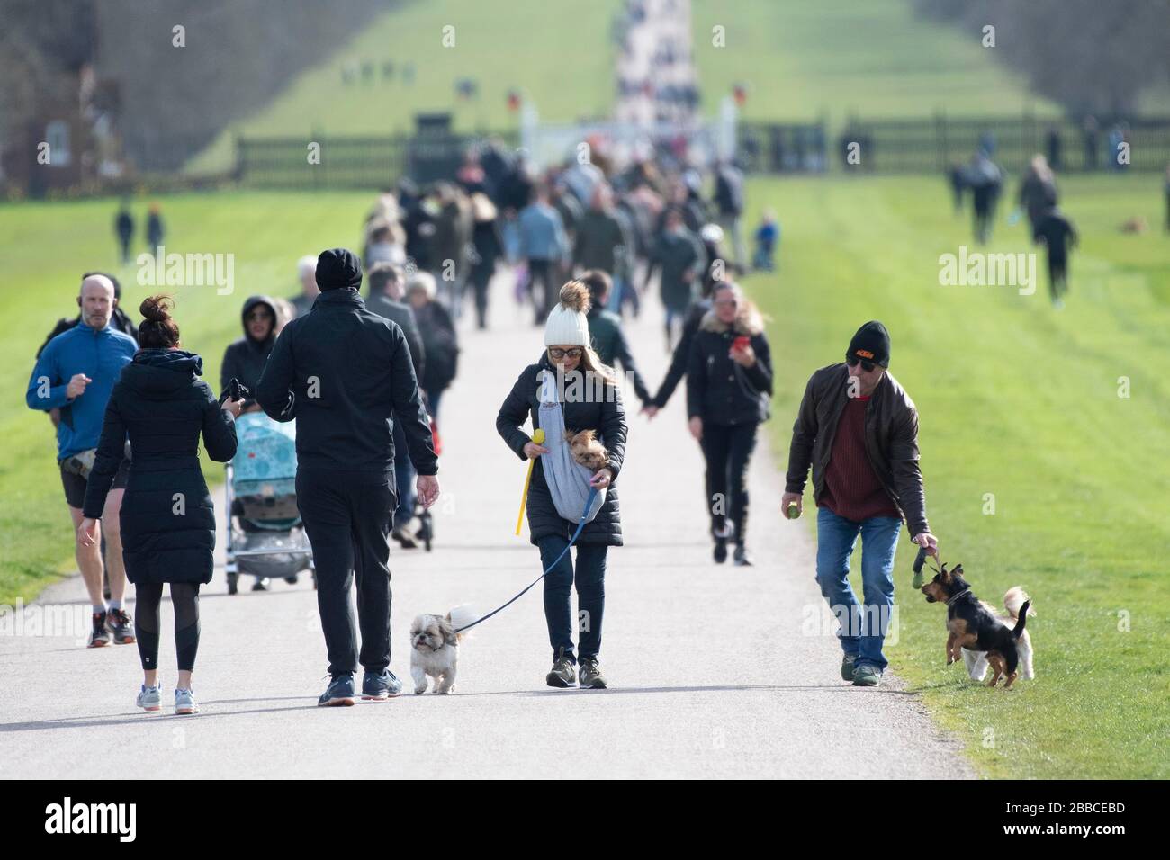 People walking on the Long Walk in Windsor Great Park, UK. The covid19 outbreak and social distancing measures were recently announced 21.03.2020 Stock Photo