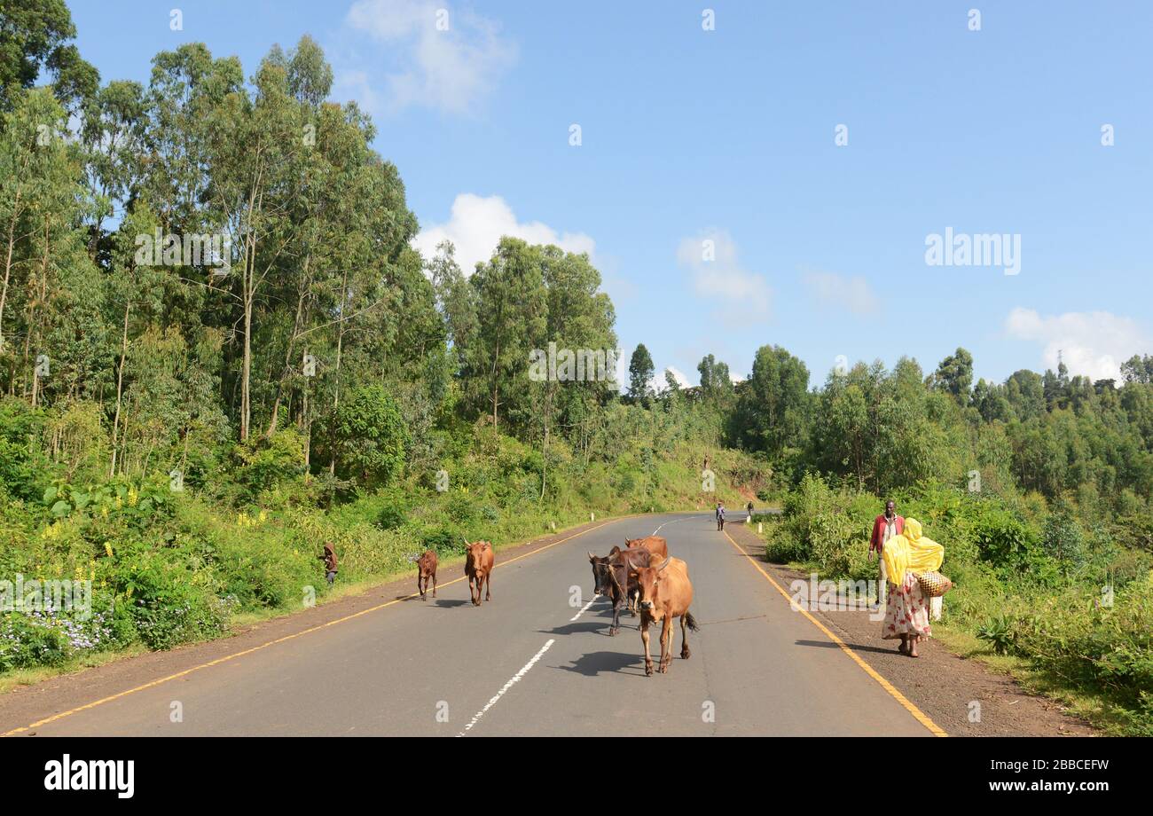 Road travel in Ethiopia's Southwest. Stock Photo