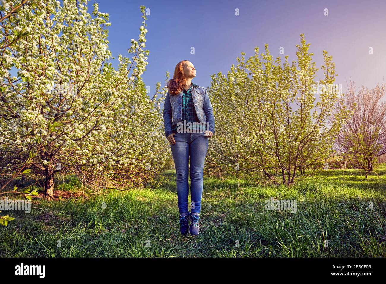 Woman in with red hair jumping in the garden with cherry blossom trees at sunrise Stock Photo
