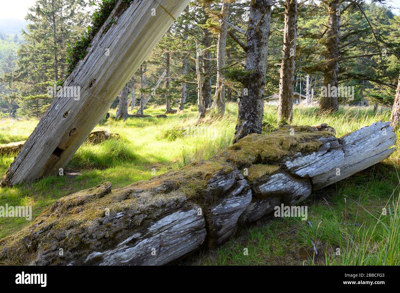 Old Haida Poles at Skedans, also known as Koona or Ḵ'uuna Llnagaay, Haida Gwaii, Formerly known as Queen Charlotte Islands, British Columbia, Canada Stock Photo