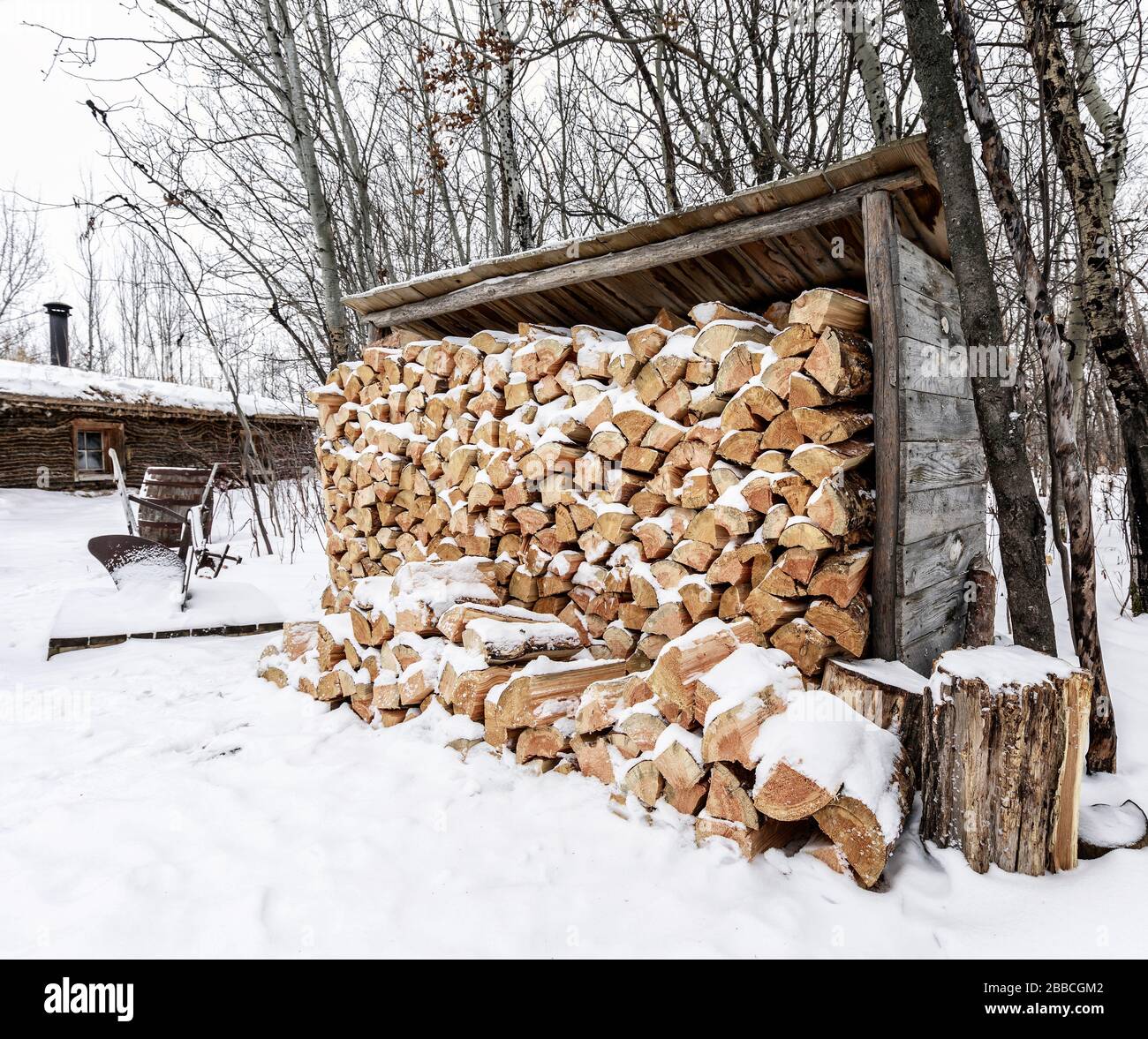 Firewood storage shed, Fortwhyte, Manitoba, Canada Stock Photo