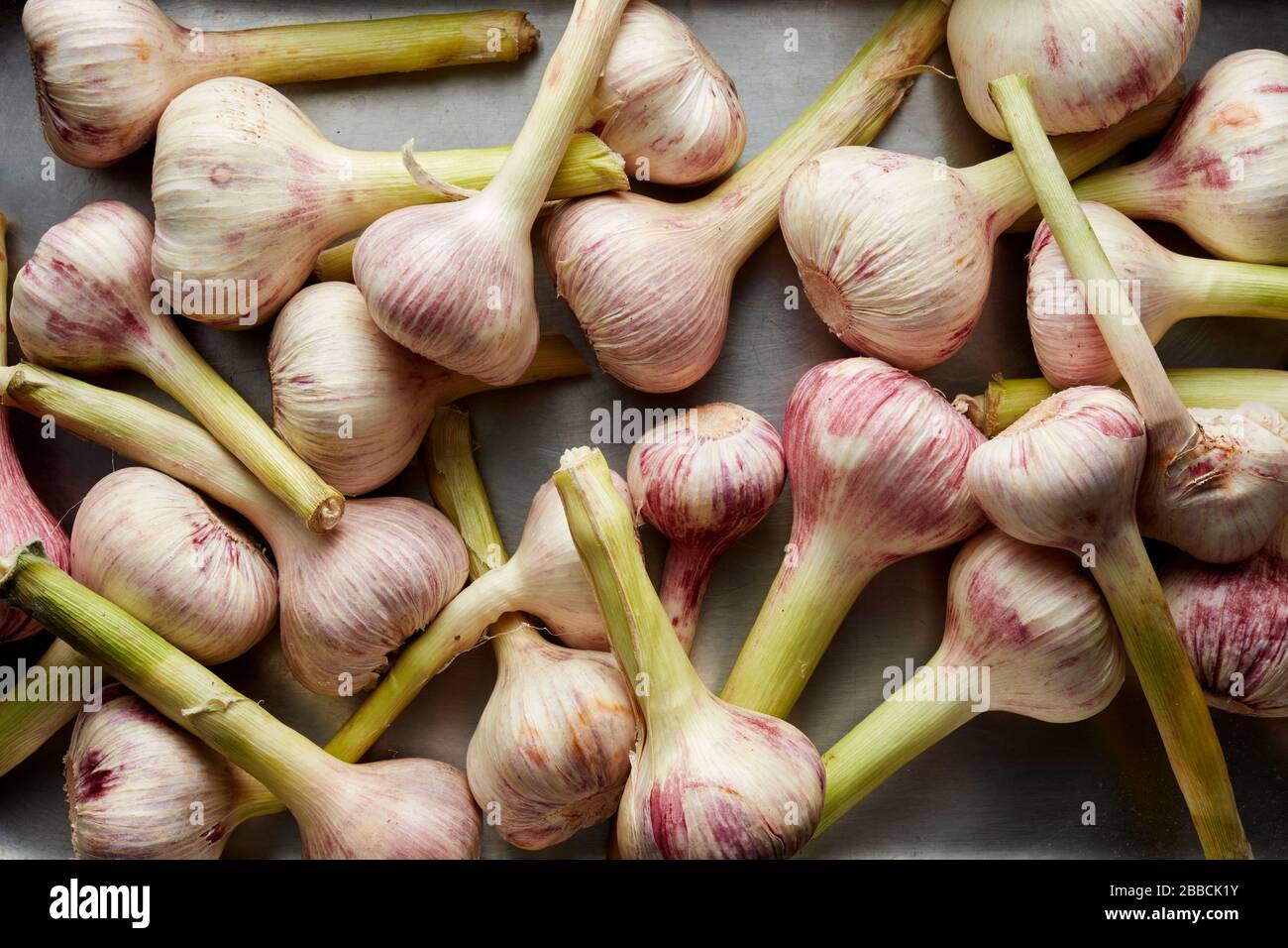 garlic bulbs group tray Garlic Allium Sativum bulbs cook ingredient Stock Photo